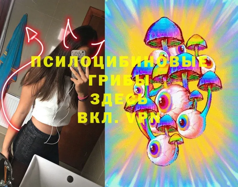 Галлюциногенные грибы Cubensis  Сыктывкар 